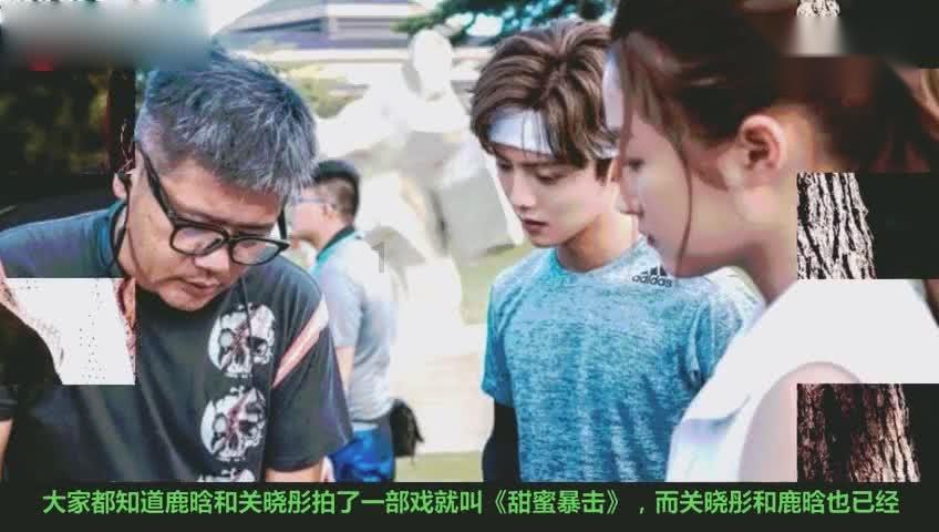 逃出熊蜂森林