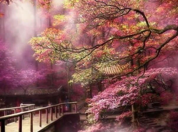 沙滩度假